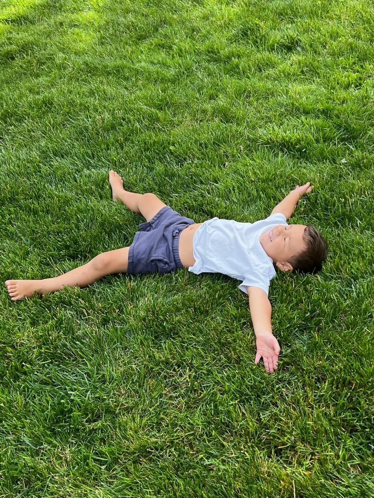 Fertilization & Weed Control